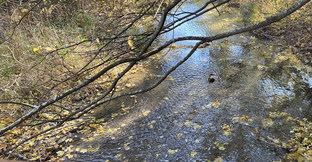 creek